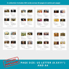Catholic Saints Flash Cards: Homeschool & Catechism (Printable PDF)