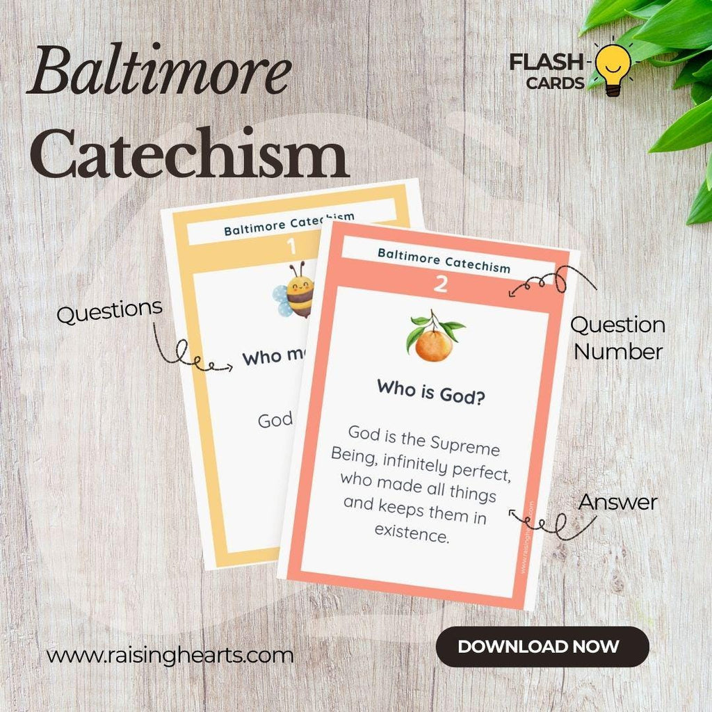 Baltimore Catechism Flashcards, Lessons 1-39, 515 Q&A (Digital Download), Colored Pastel Design